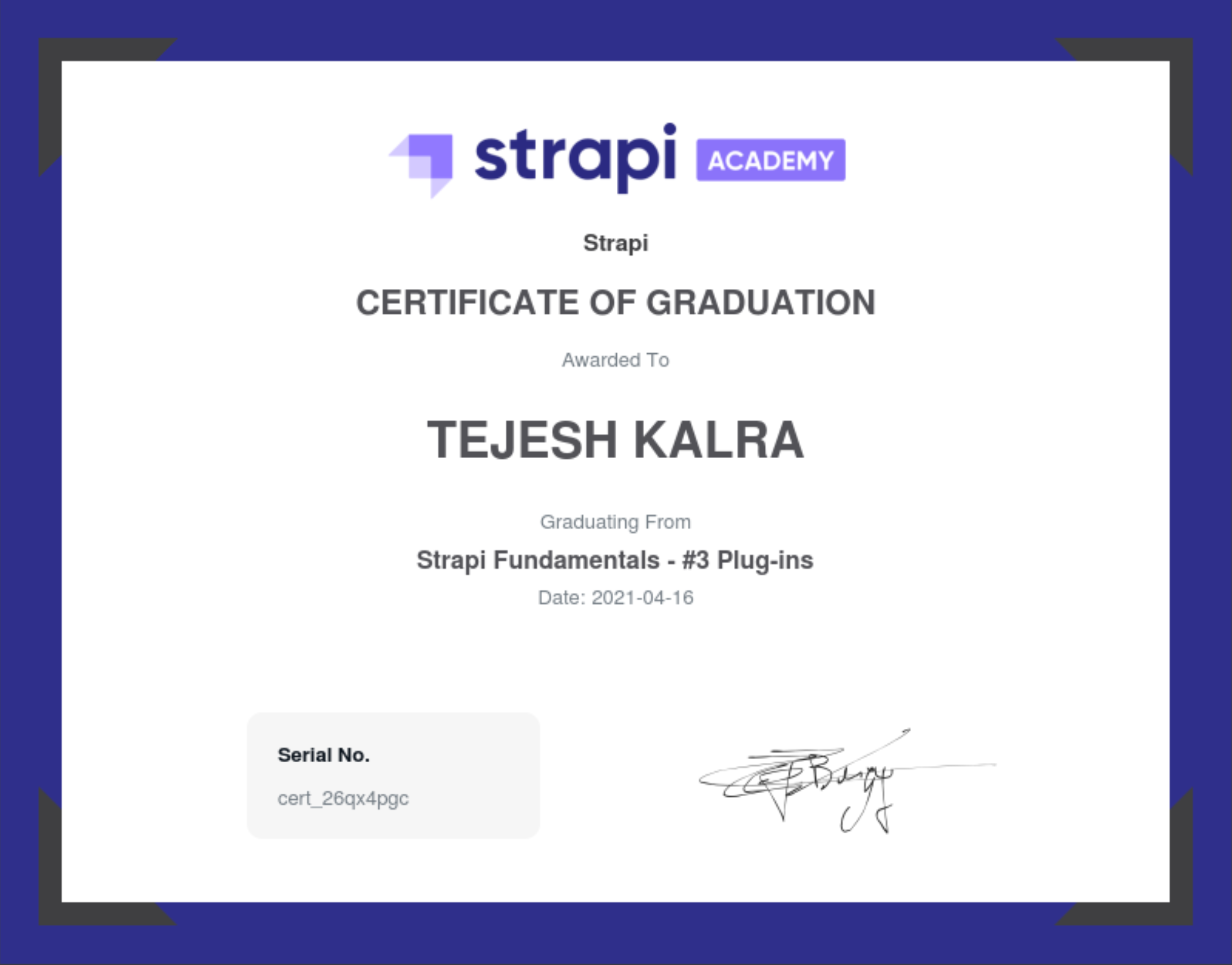 Strapi Plug-ins Certificate