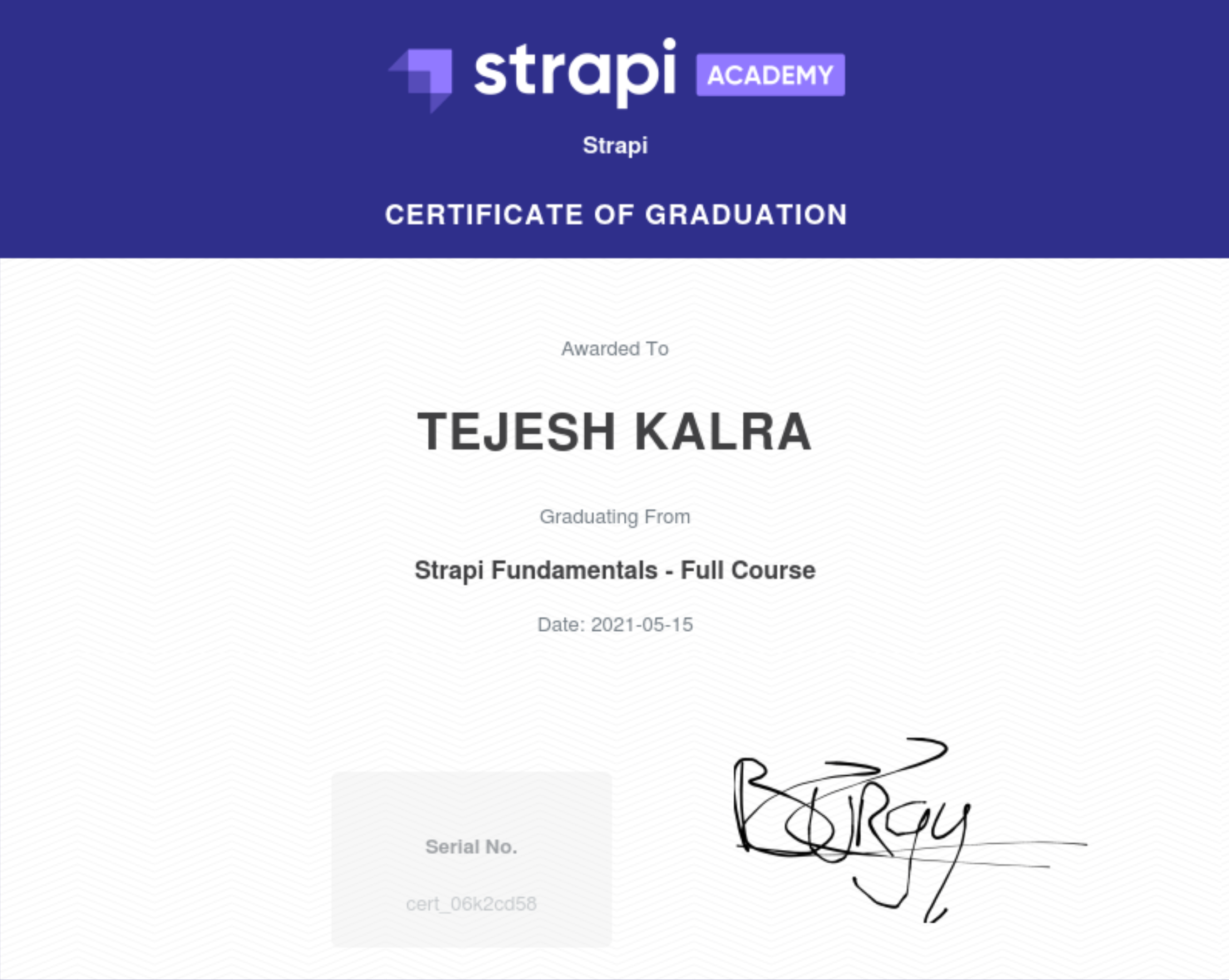 Strapi Full Course Certificate